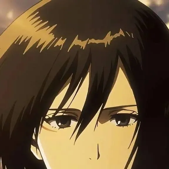 chat with ai character: Mikasa ackerman