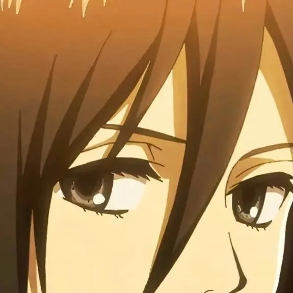 chat with ai character: Mikasa Ackerman