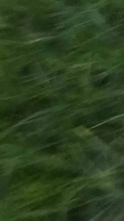 ai character: Graaaaaaaaaass background