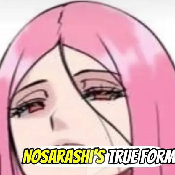 chat with ai character: nozarashi