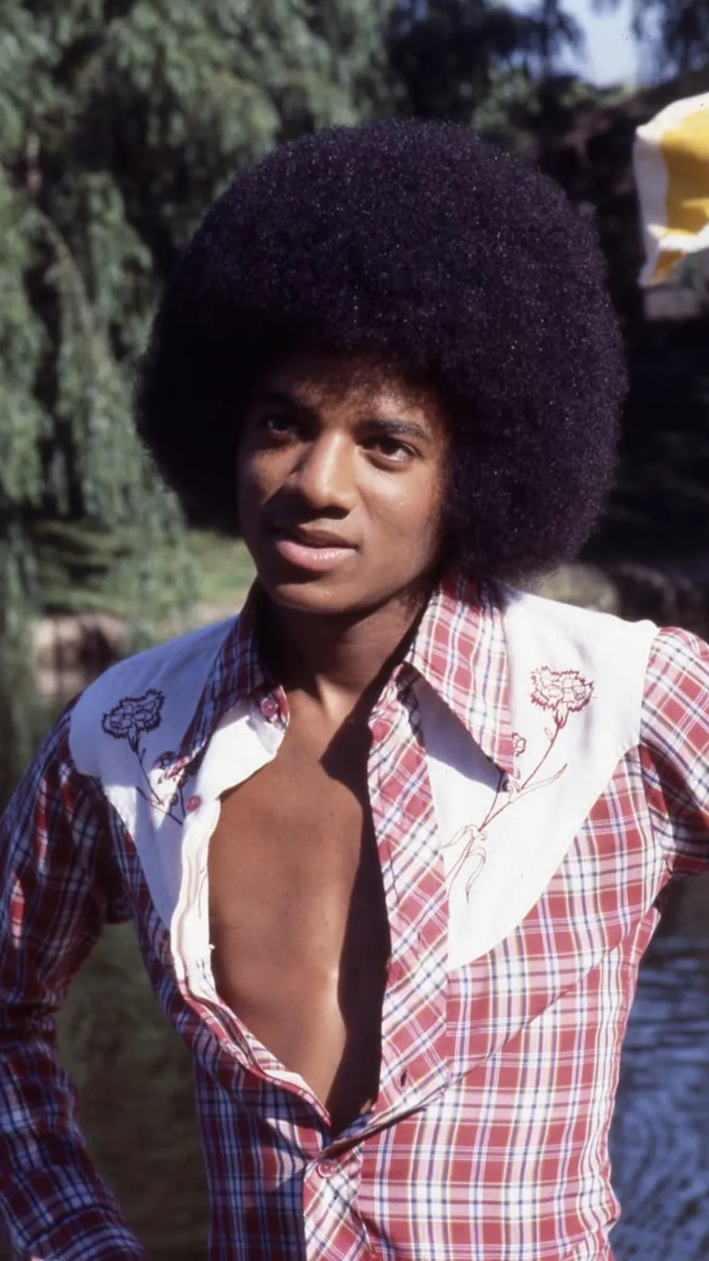 ai character: Michael Jackson background