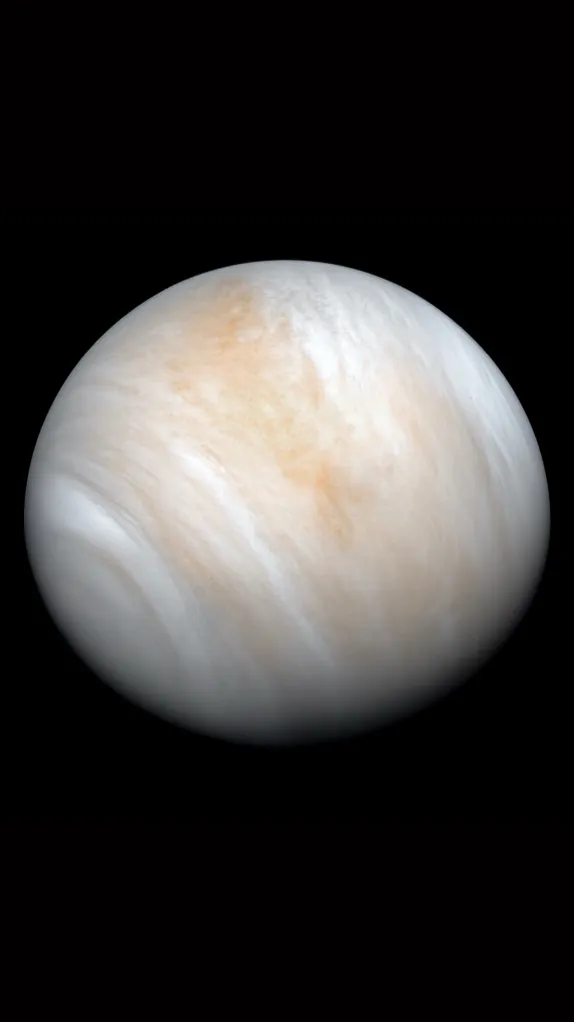 ai character: Venus background
