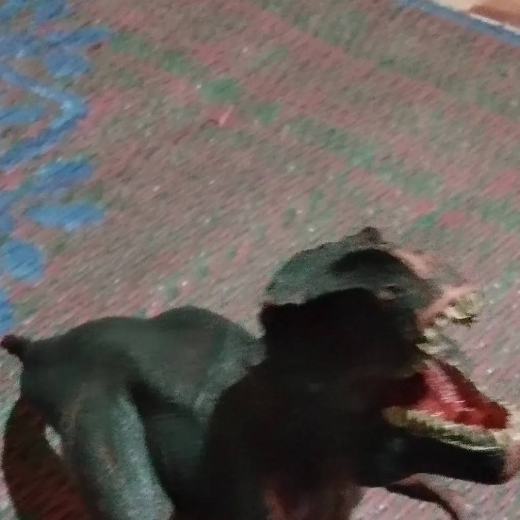 chat with ai character: t rex toy