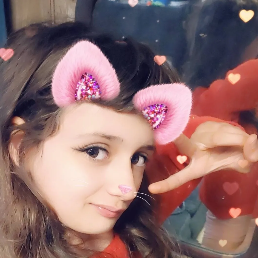 chat with ai character: zelda