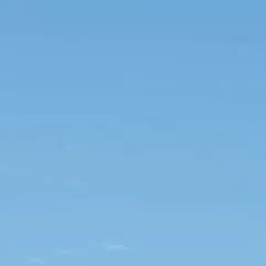 chat with ai character: Leo