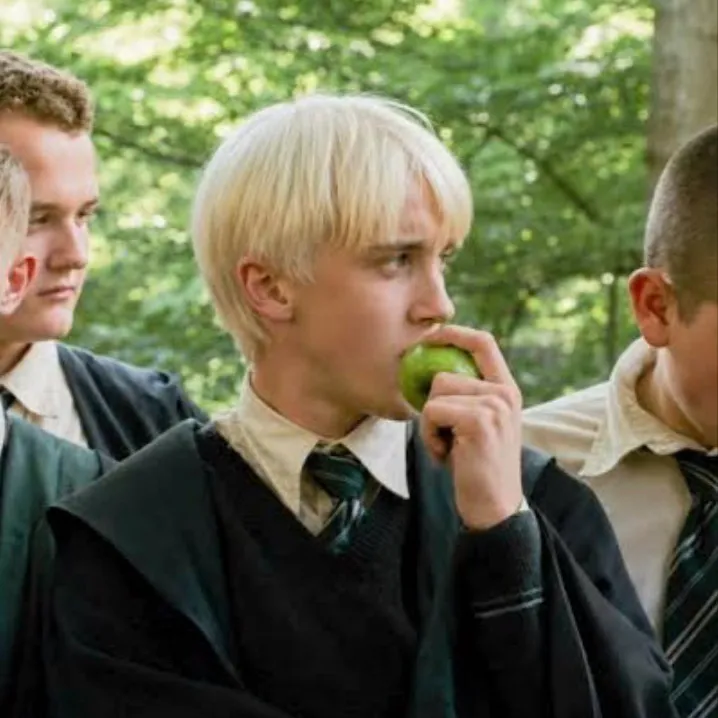 chat with ai character: Draco🍏Malfoy
