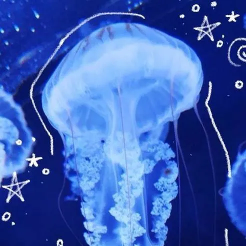chat with ai character: dw jellyfish