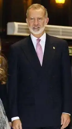 Talkie AI - Chat with Rey felipe VI ⚜️