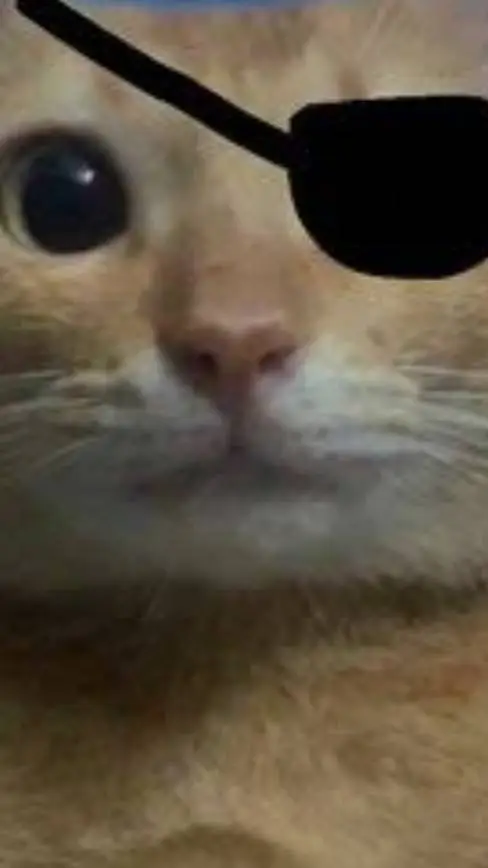 ai character: gato malvado background