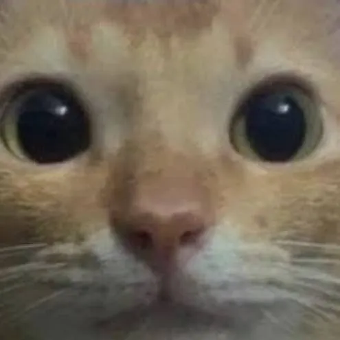 chat with ai character: gato bueno