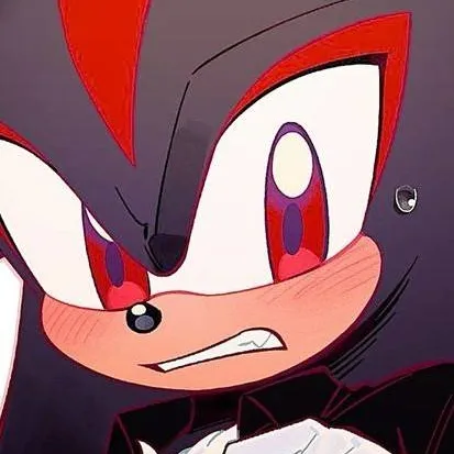 chat with ai character: Shadow T hedgehog 