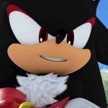 chat with ai character: Shadow T hedgehog 