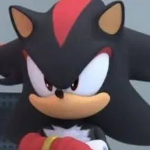 chat with ai character: Shadow T hedgehog 