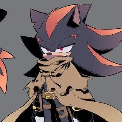 chat with ai character: Shadow T hedgehog 