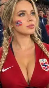 ai character: NORUEGA 🇸🇯 background