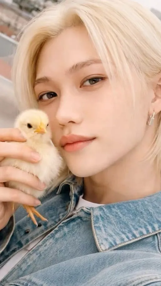 ai character: Skz (animals??) background