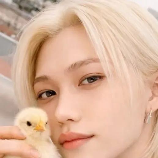 chat with ai character: Skz (animals??)