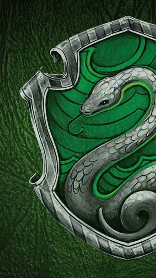 Talkie AI - Chat with Slytherin boys yn
