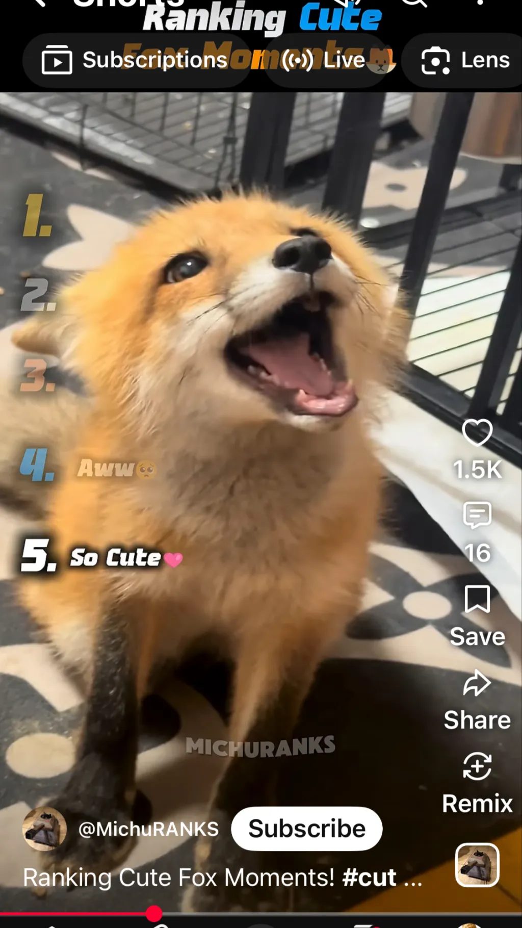 ai character: 🦊 background