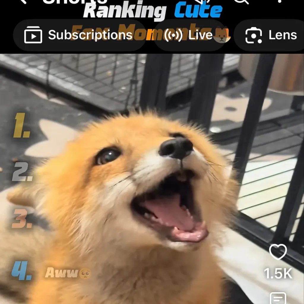chat with ai character: 🦊