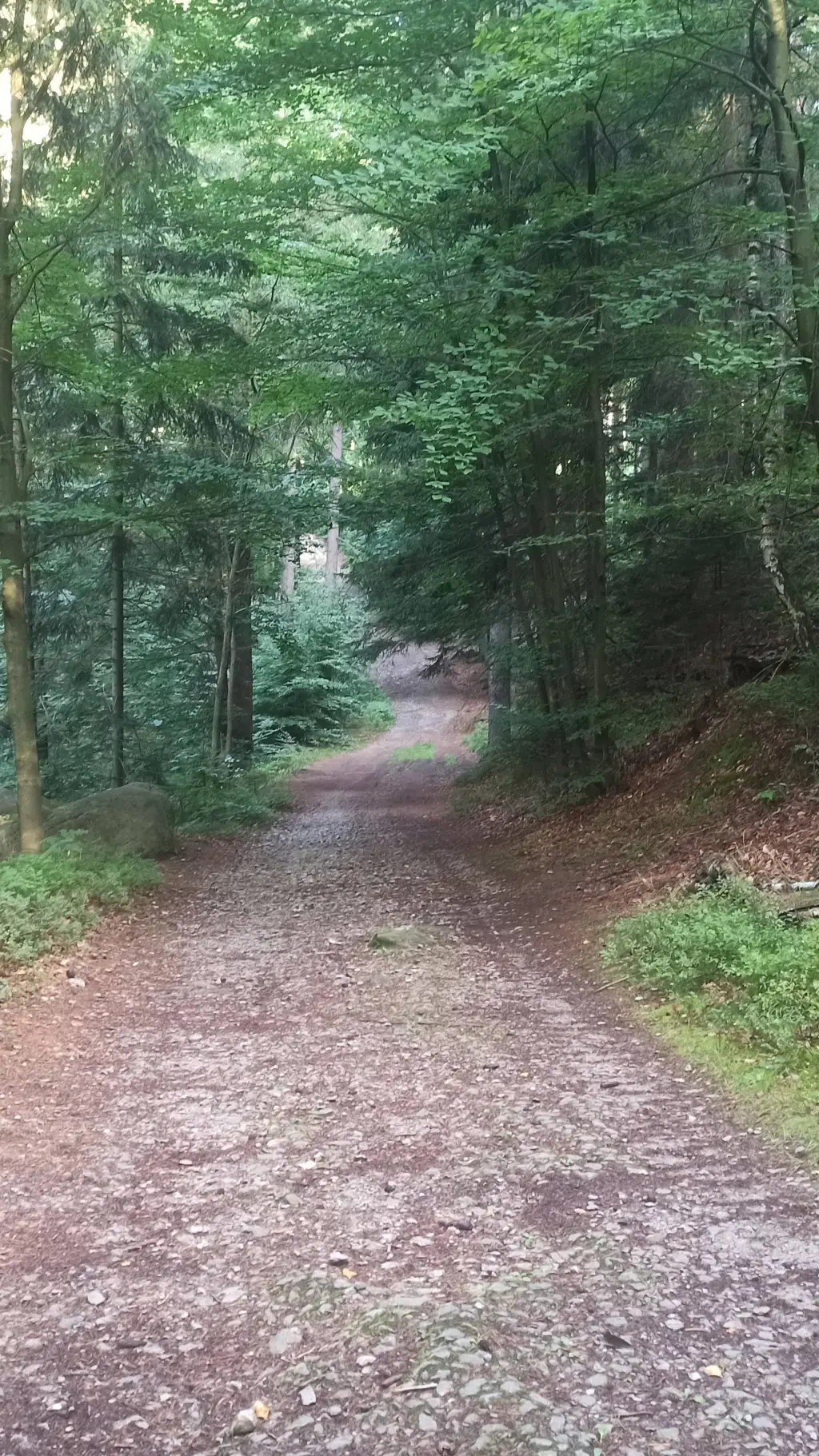 Talkie AI - Chat with SCP-Forest