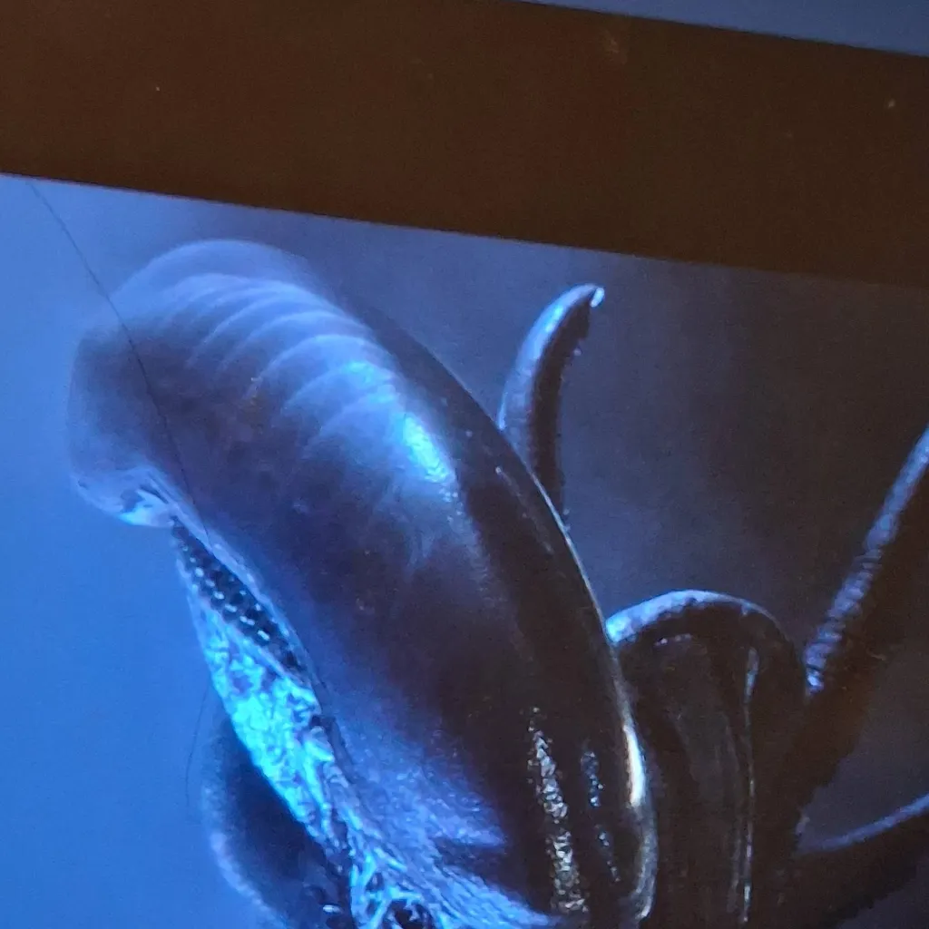 chat with ai character: xenomorph 