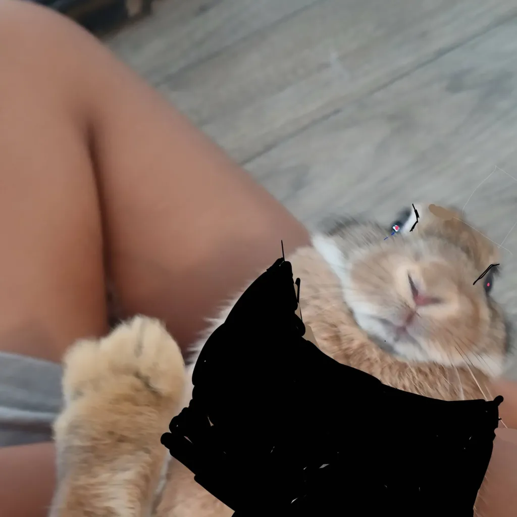chat with ai character: shucks/detg bunny