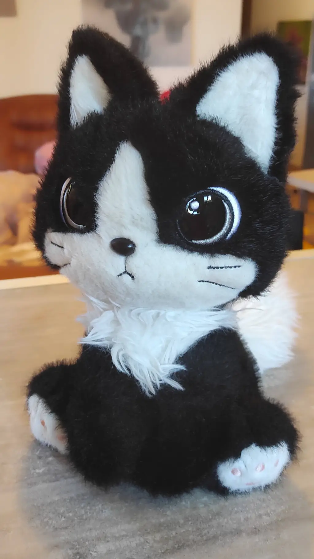 Talkie AI - Chat with Oreo the cat