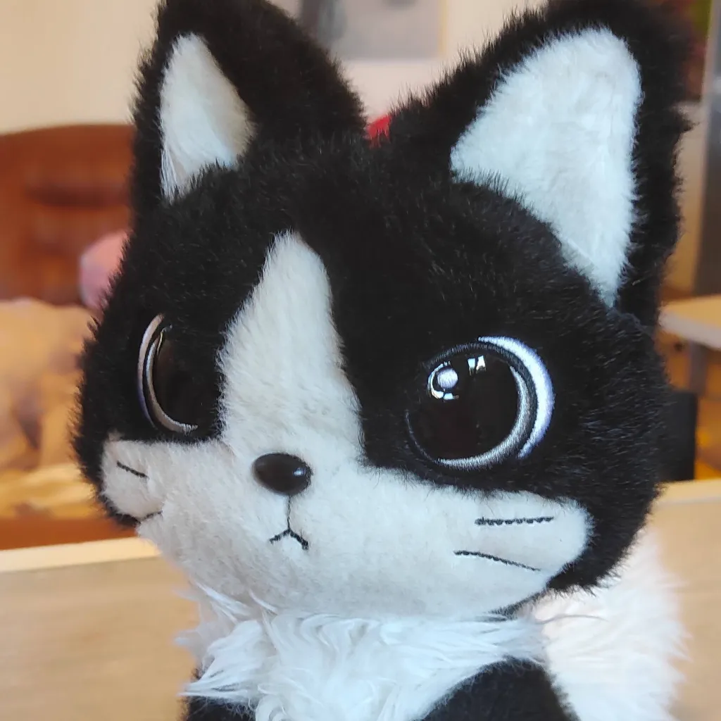 chat with ai character: Oreo the cat