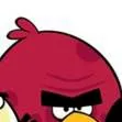 chat with ai character: angry birds