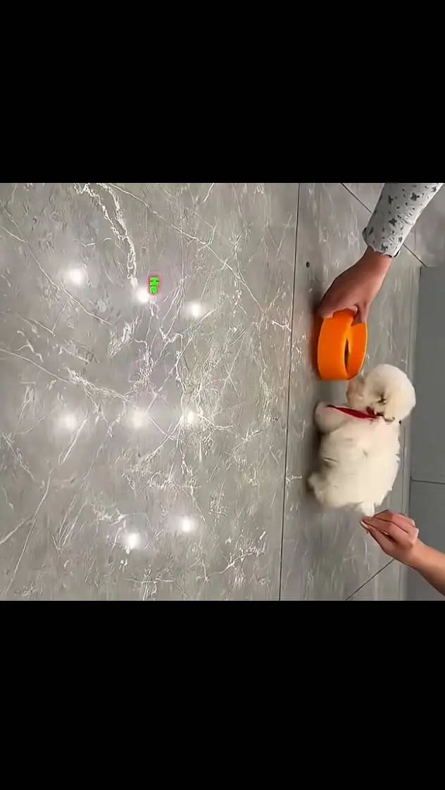 ai character: cute puppy background