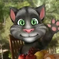 chat with ai character: Talking Tom Eats