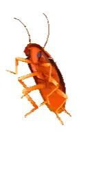 ai character: Pet Roach  background