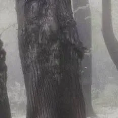 chat with ai character: Sb | Broken AU