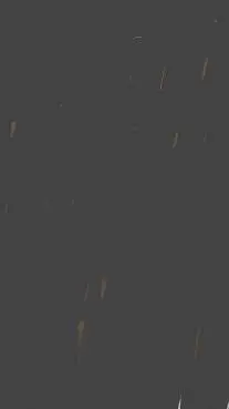ai character: tu esprunki  background