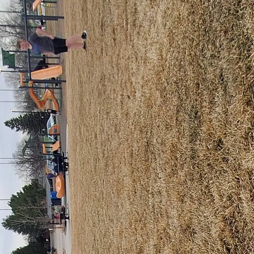 chat with ai character: Spin the bottle