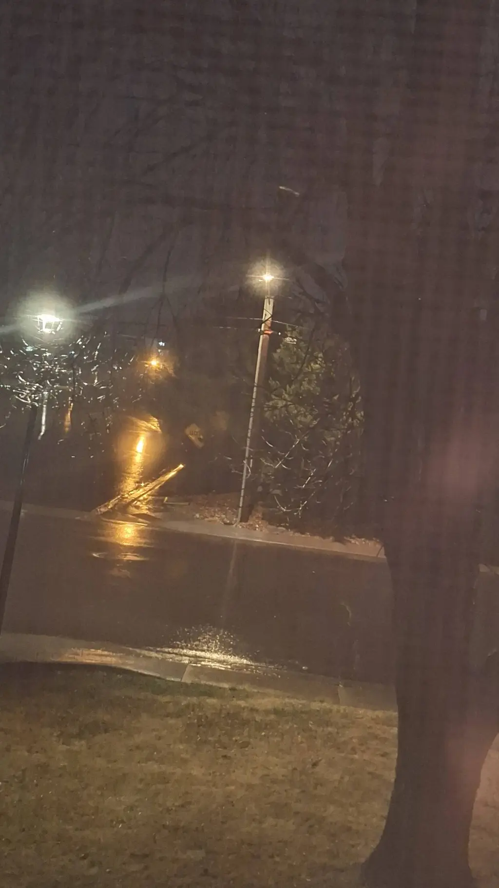 ai character: Eli ❤️ background