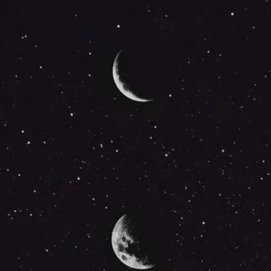 chat with ai character: Fynn