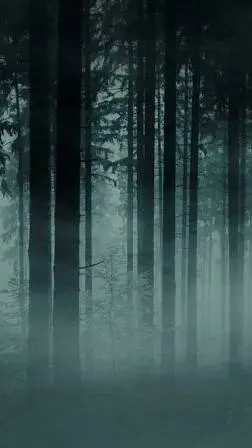 ai character: dark forest background