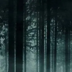 chat with ai character: dark forest