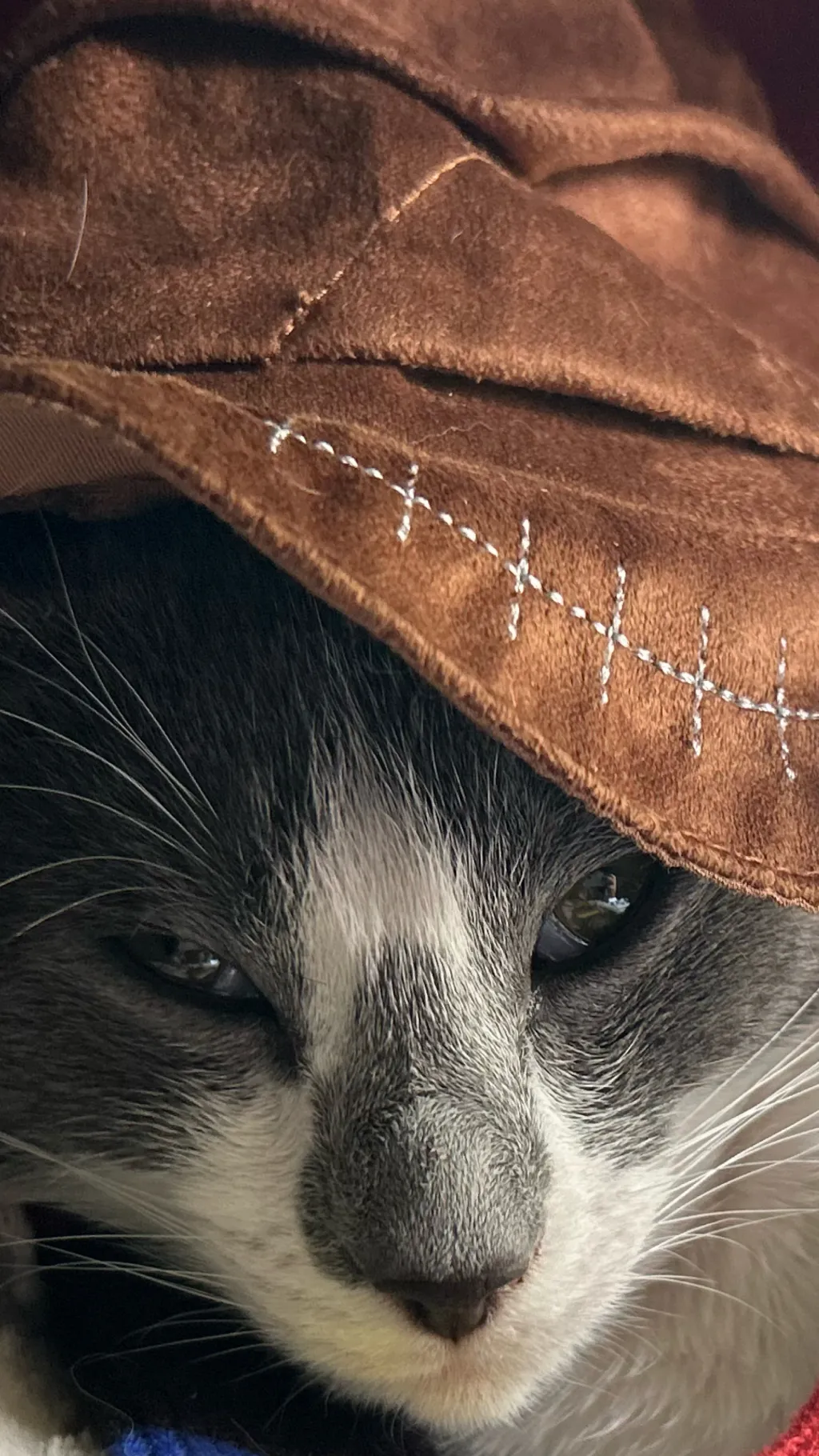 ai character: Fruitcake(bored) background