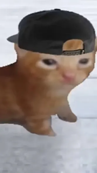 Talkie AI - Chat with Rad Cat