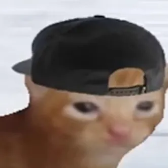 chat with ai character: Rad Cat