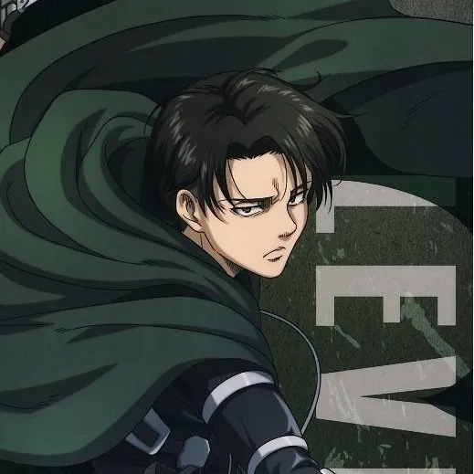 chat with ai character: 🗡️Levi Ackerman🗡️