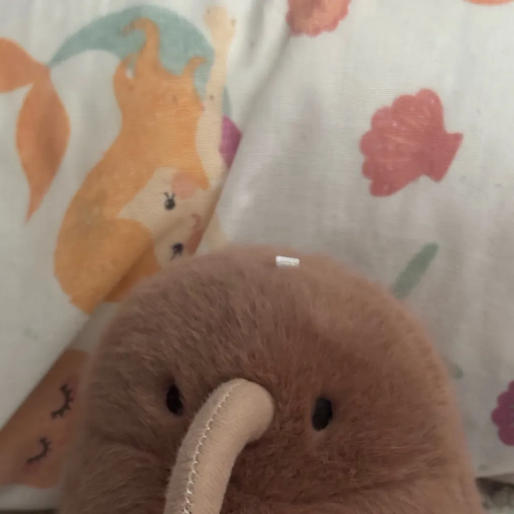chat with ai character: Kiwi bird TADC 