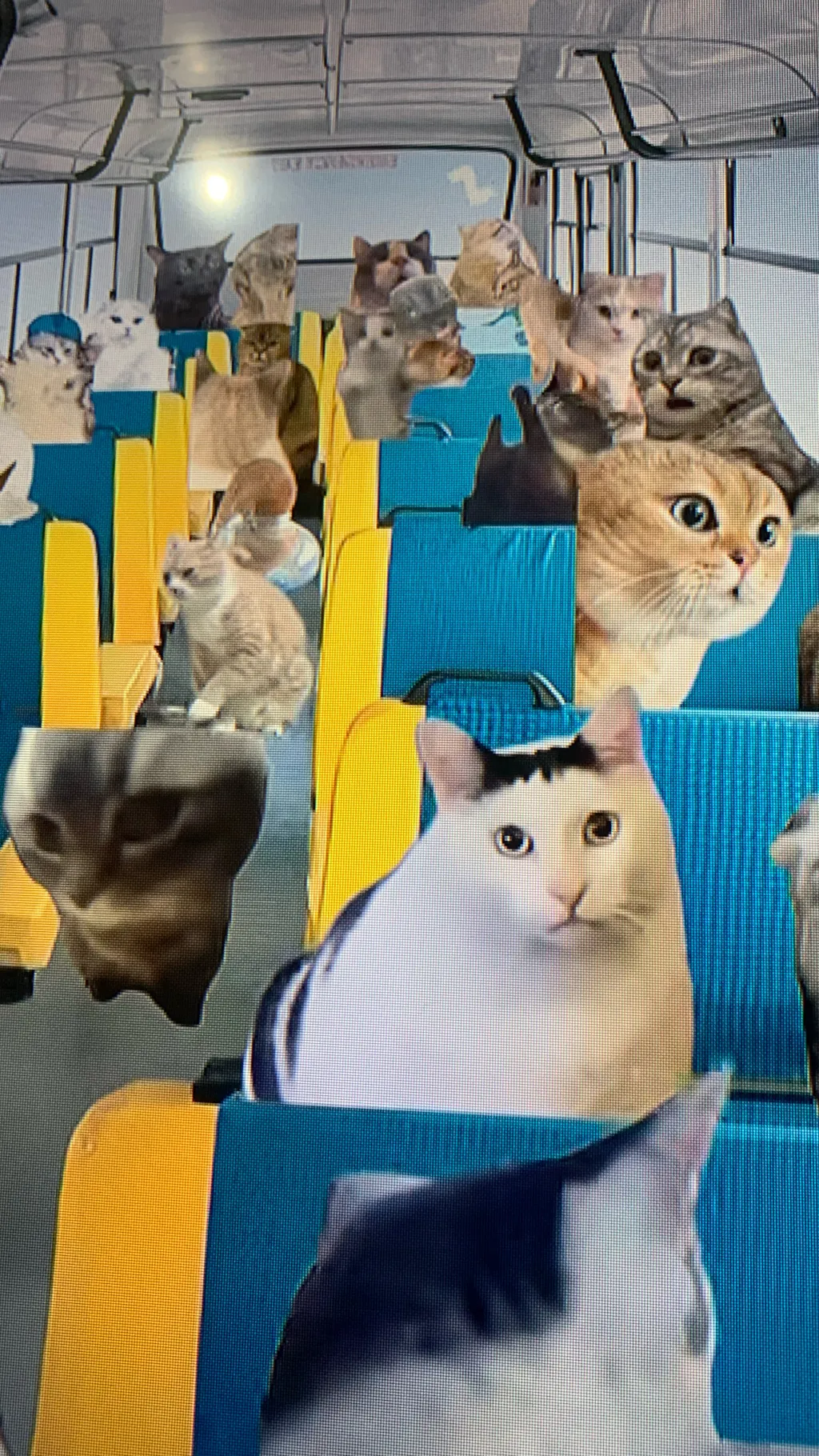 ai character: Cat meme trip  background