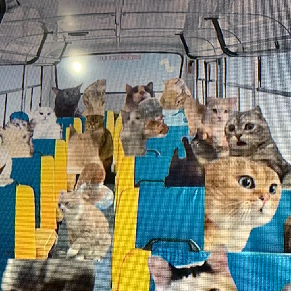 chat with ai character: Cat meme trip 