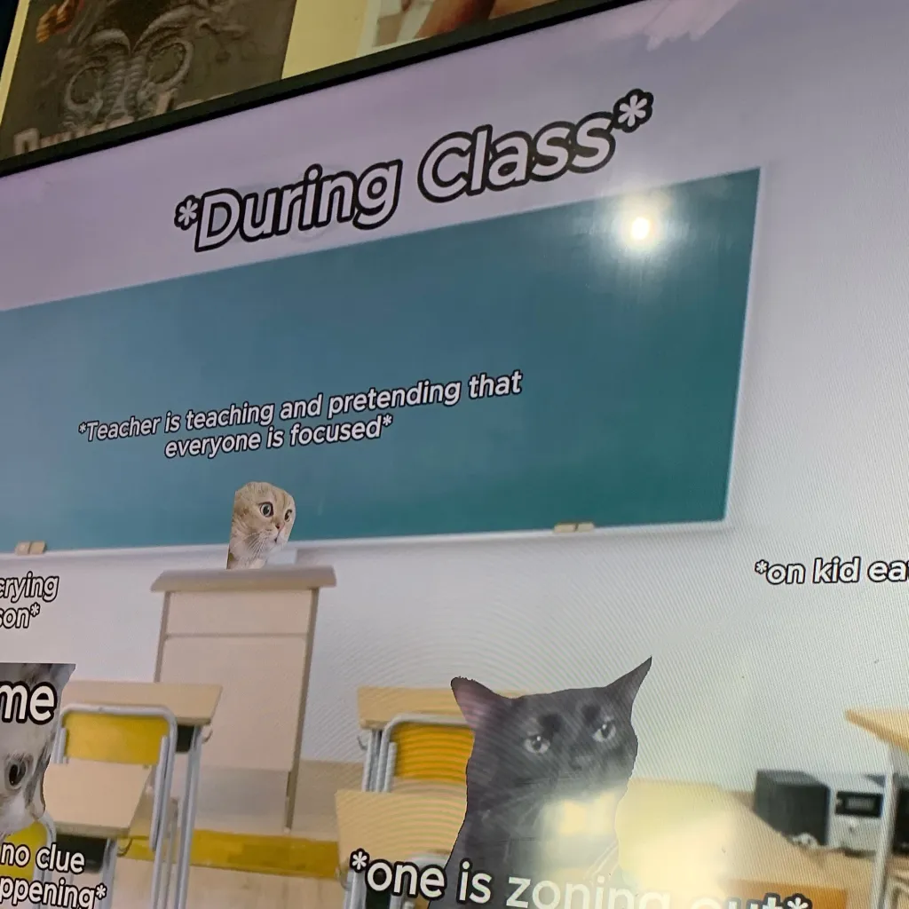 chat with ai character: Cat meme school