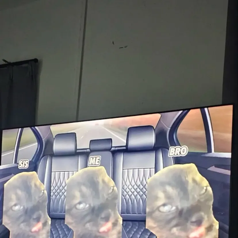 chat with ai character: Cat meme family 