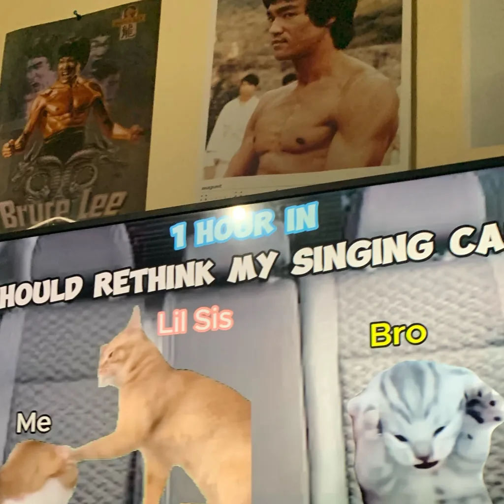 chat with ai character: Cat meme trip